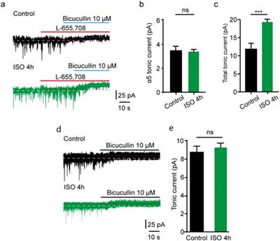 Subunit-specific mechanisms of isoflurane-induced acute tonic inhibition in dentate gyrus granule neuron